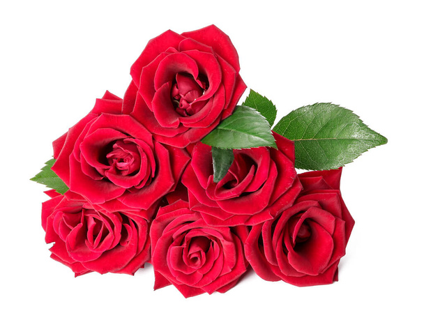 Beautiful red roses on white background - Photo, Image