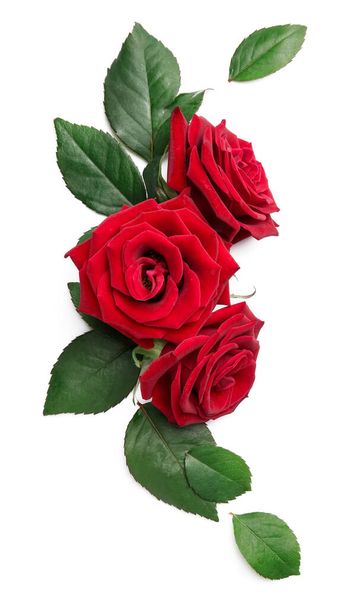 Όμορφα κόκκινα τριαντάφυλλα σε λευκό φόντο - Φωτογραφία, εικόνα