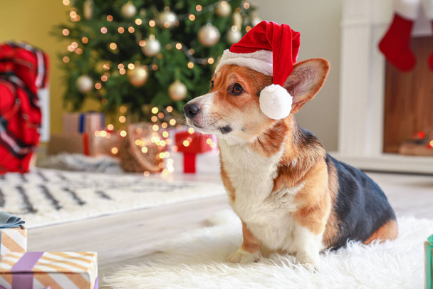 Милая собака в шляпе Санты дома в канун Рождества - Фото, изображение