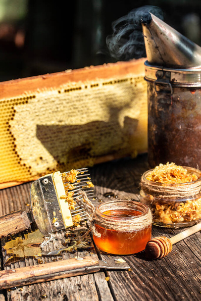 Pszczelarstwo. Apiary. Ramy ulu. - Co? Zbiera miód. Pszczoła palacz jest używany do uspokojenia pszczół przed usunięciem ramki. Koncepcja pszczelarstwa. - Zdjęcie, obraz