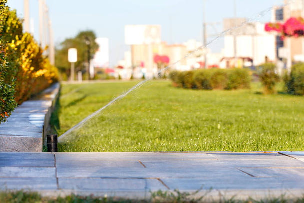 Système d'irrigation automatique irrigué la pelouse sur un fond flou du paysage urbain par une journée ensoleillée, espace de copie. - Photo, image