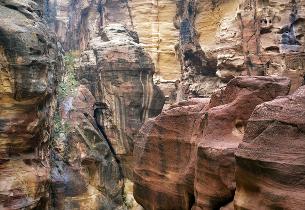 Красочные скальные образования Петры в Иордании
 - Фото, изображение