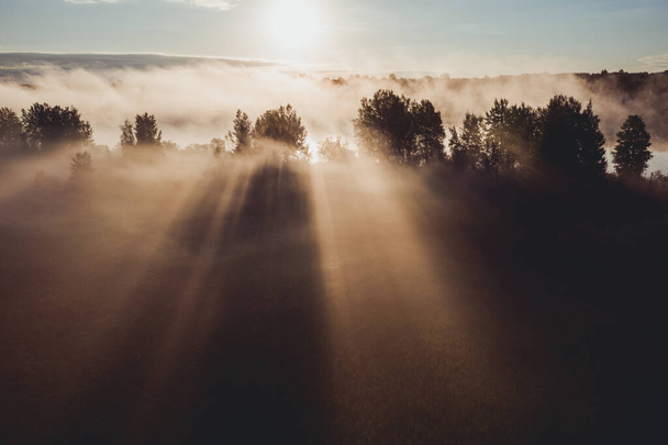 Early morning landscape. Foggy river. River valley in the morning fog at sunrise. View from above. Rays of the sun breaking through the fog in over the trees - Photo, Image