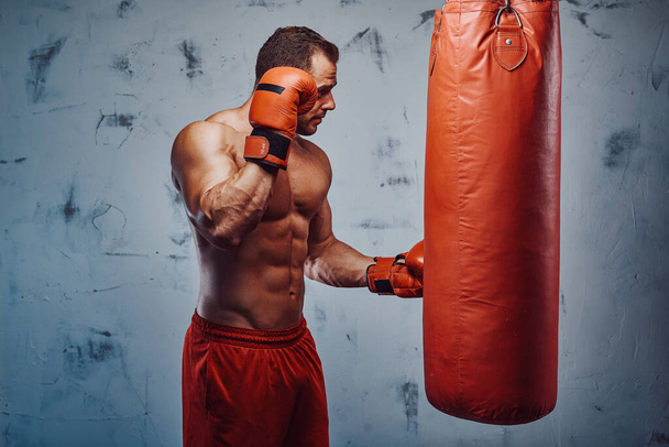 Strong confident man staying near bag with boxing gloves - Photo, image