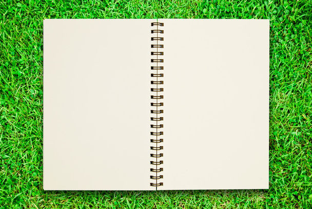 Blank notebook open on green grass field - Photo, Image