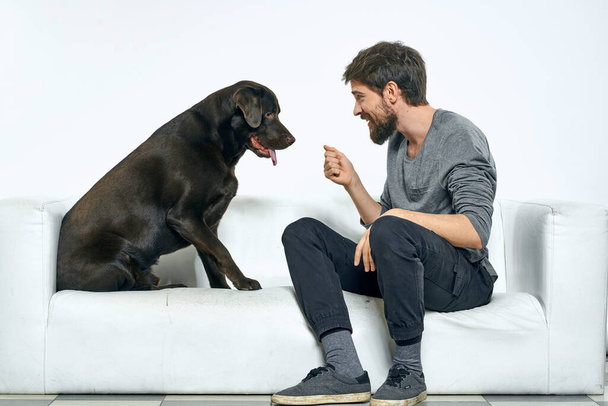 el propietario juega con el perro en un sofá blanco En una habitación luminosa divertido primer plano vista amigos mascota - Foto, Imagen
