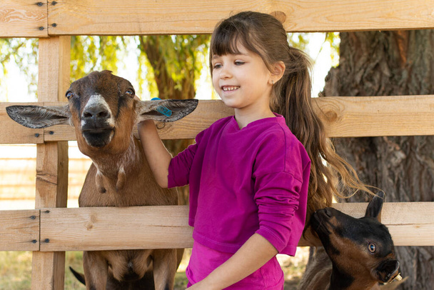 Alp evcil keçisi olan küçük bir kız çocuğu. Hayvanat bahçesi, çiftlik, aşk konsepti.. - Fotoğraf, Görsel