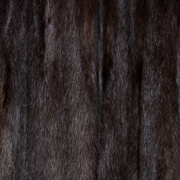 Texture della pelliccia marrone, arruffato e soffice, iridescente, primo piano lucido - Foto, immagini