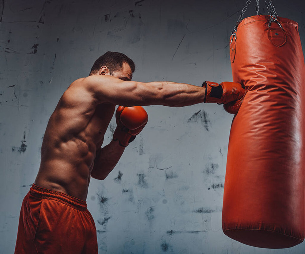 Boxer with protective gloves hitting a punching bag - Fotoğraf, Görsel