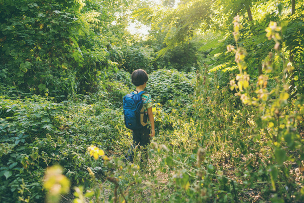 A boy with a backpack walks in the meadow, a child explores wildlife, a kid stands alone among the trees, a portrait of a boy. - Φωτογραφία, εικόνα