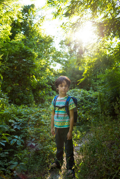Un ragazzo con uno zaino cammina nella foresta, un bambino esplora la fauna selvatica, un bambino è solo tra gli alberi, un ritratto di un ragazzo. - Foto, immagini