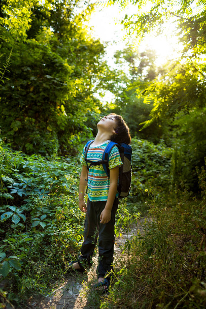 Chłopiec z plecakiem spaceruje po lesie, dziecko odkrywa dziką przyrodę, dziecko stoi samotnie pośród drzew, portret chłopca. - Zdjęcie, obraz