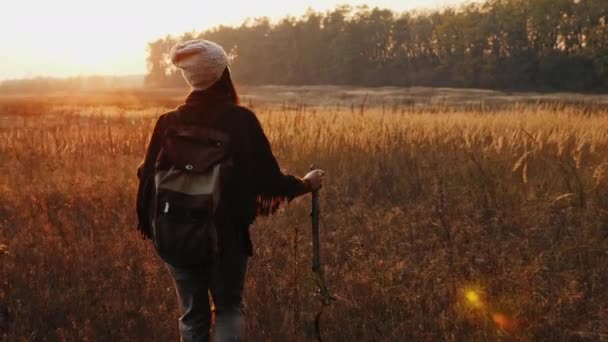 女性ハイカーは乾いた草の間で牧草地を歩く - 映像、動画