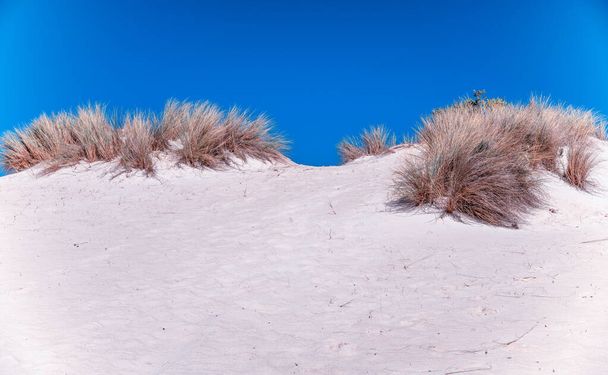 Песчаные дюны и скалы пустыни в прекрасный солнечный день. - Фото, изображение