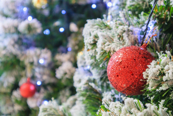 Рождественская елка украшена красным шаром на фоне сосен - Фото, изображение