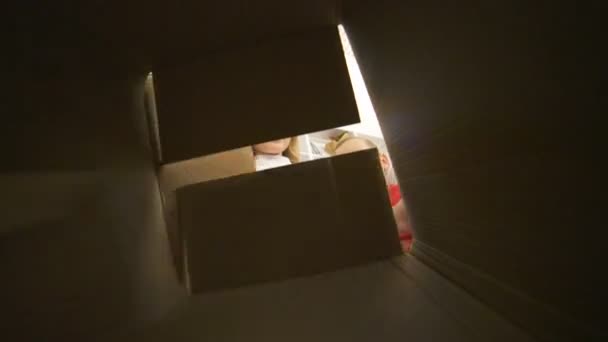 Щаслива дівчинка і хлопчик відкривають коробку біля ялинки
 - Кадри, відео