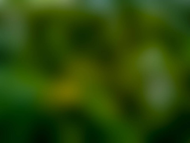 Primo piano Sfocato Verde, Nero e Giallo multicolore Gradiente Astratto Sfondo di transizione - Foto, immagini
