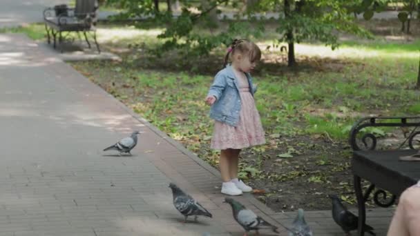 Szczęśliwa wesoła dziewczynka przeraża gołębie. - Materiał filmowy, wideo