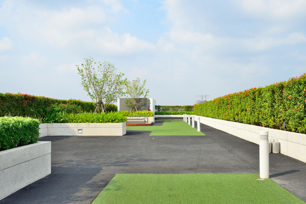 landschap van tuin op het dak - Foto, afbeelding