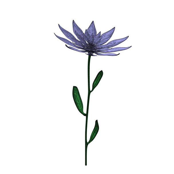 3D illustration of flower with petals in lavender tones, stem and leaves isolated on white background - Zdjęcie, obraz
