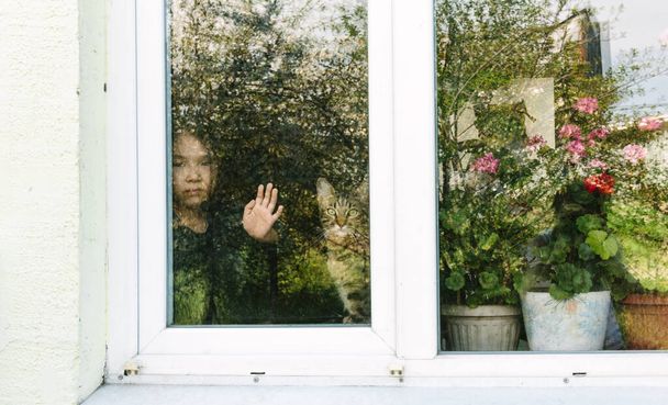 Auto aislamiento, bloqueo, cuarentena, coronavirus SARS,, retrato de una chica asiática con su gato mirando por la ventana, estado de ánimo menor - Foto, Imagen