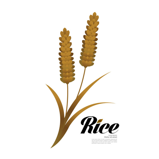 Premium Rice great quality design concept  vector. - Vetor, Imagem