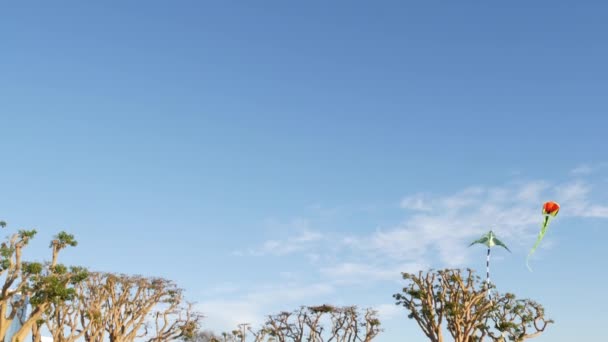 Kolorowy latawiec lecący na niebieskim niebie nad drzewami w parku Embarcadero Marina, San Diego, Kalifornia USA. Dzieci wielokolorowe zabawki ślizgające się w powietrzu na wietrze. Symbol dzieciństwa, czasu letniego i aktywności rekreacyjnej - Materiał filmowy, wideo