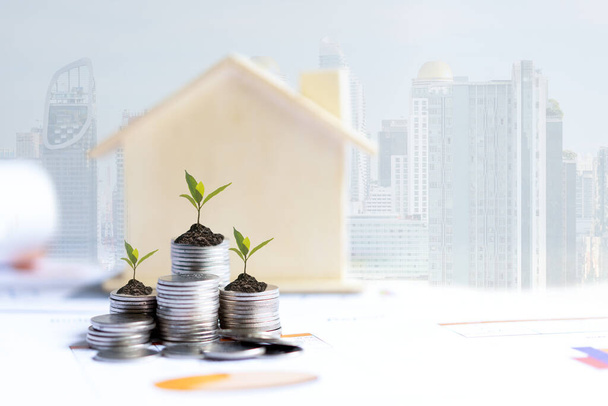 Investor of real estate.  The plants growing on money coin stack for investment home with financial report graph background.  Investment property growth Concept - Foto, Imagen
