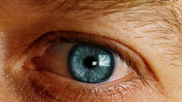 Close shot of the human eye. The eye of a man. - Photo, Image