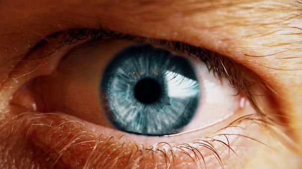 Close shot of the human eye. The eye of a man. - Fotó, kép