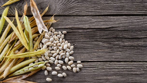 Suchý hrnec a bílá semena fazolí - Fotografie, Obrázek