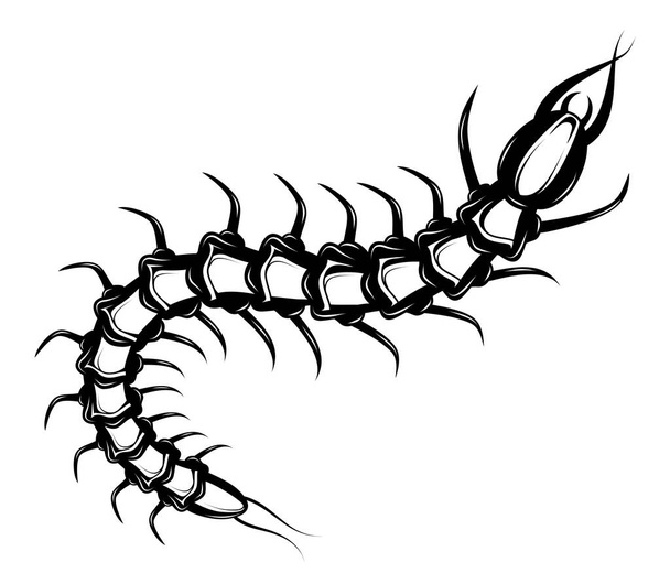 Decorative tattoo with centipede insect - Vector, Imagen