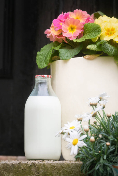 Lieferung von Frischmilch vor der Haustür mit Blumentopf - Foto, Bild
