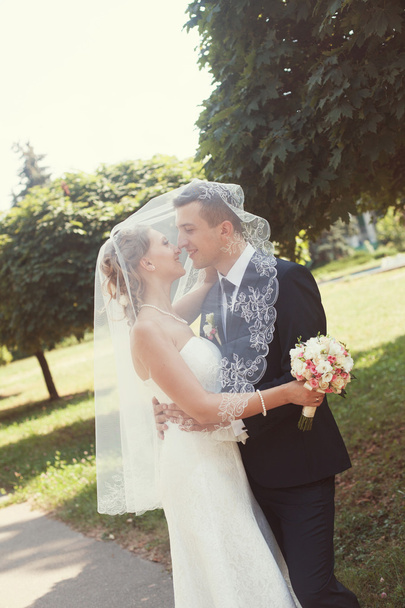 Braut und Bräutigam küssen sich im Park - Foto, Bild