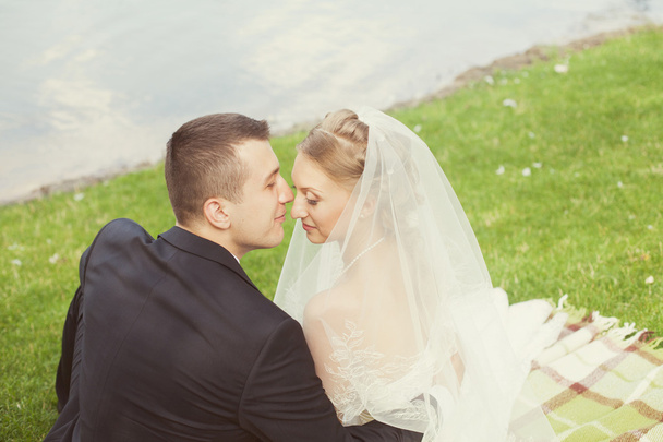 Наречений і наречений в парку біля озера
 - Фото, зображення