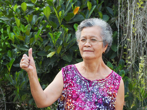 Πορτρέτο μιας ηλικιωμένης γυναίκας που στέκεται χαμογελαστή και δείχνει τους αντίχειρες της στον κήπο. Ασιάτισσα γριά με κοντά μαλλιά, όμορφη κοιτάζοντας την ευτυχία της κάμερας. Έννοια των ηλικιωμένων και της υγειονομικής περίθαλψης - Φωτογραφία, εικόνα