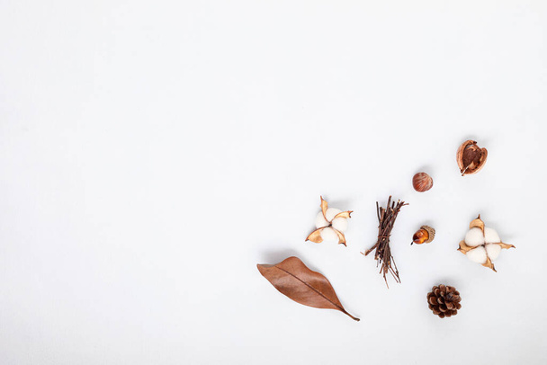 Autumn flat lay composition. Cotton flowers, dried leaves and nuts on light gray background. Autumn, fall concept. Mockup, top view, copy space - Photo, image