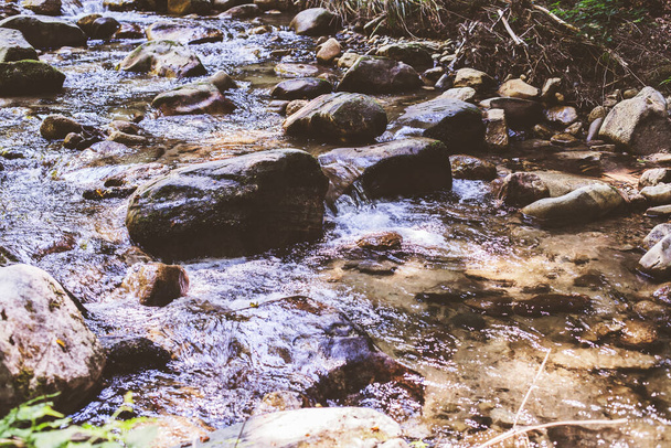 Mountain River Stream μέσω θερινού δάσους. Καθαρό νερό. Μέρα στη φύση. Όμορφο τοπίο  - Φωτογραφία, εικόνα