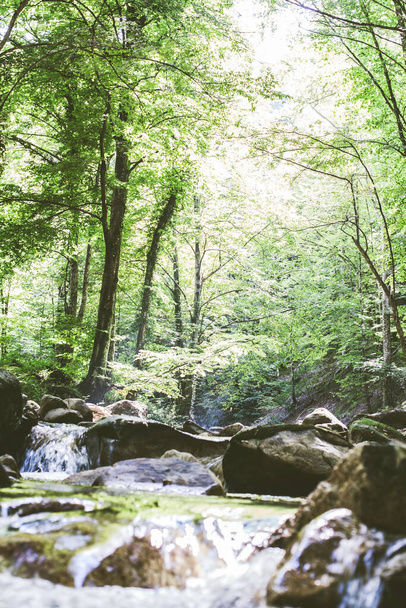 Gebirgsfluss fließt durch den Sommerwald. Klares Wasser. Tag in der Natur. Schöne Landschaft  - Foto, Bild
