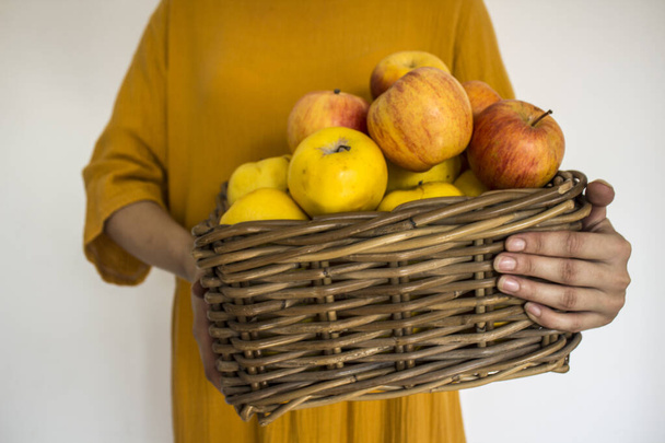 Foto da vicino della donna che indossa un vestito giallo che tiene il cesto con le mele.  - Foto, immagini