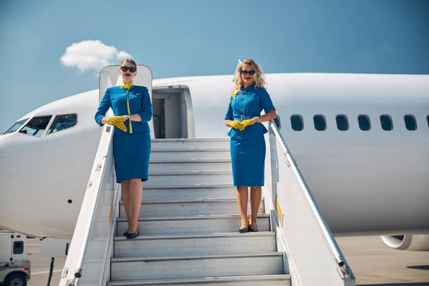 Очаровательные стюардессы стоят на лестнице самолета под голубым небом - Фото, изображение