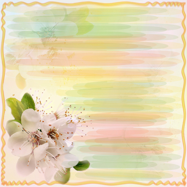 Приветственная открытка с цветущей вишней на гранжевом полосатом фоне с волнистой рамой
 - Фото, изображение