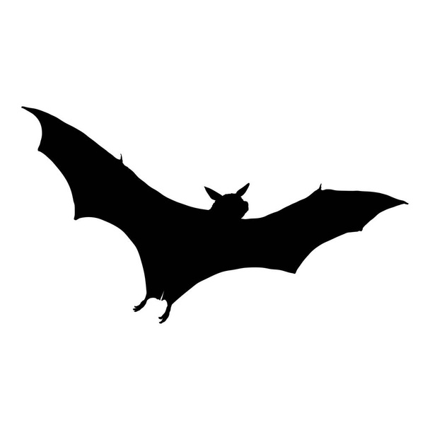 Vector Black Silhouette of Bat. Ícone de Halloween. - Vetor, Imagem
