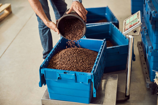Hombre trabajador vertiendo granos de café en caja de plástico en escamas - Foto, imagen