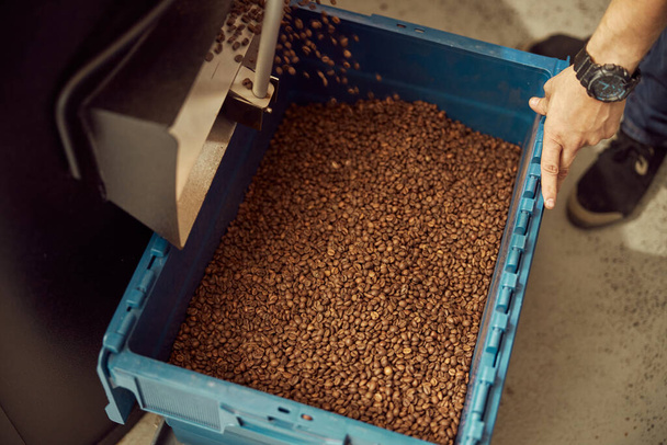 機械で焙煎したコーヒー豆を回収する男性労働者 - 写真・画像