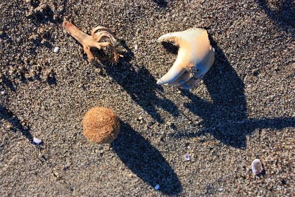Ужасающая рука игрушечной куклы, брошенной на пляже среди мусора в песке - Фото, изображение