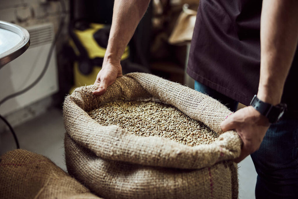 Male worker hands holding bag with green coffee beans - Photo, Image