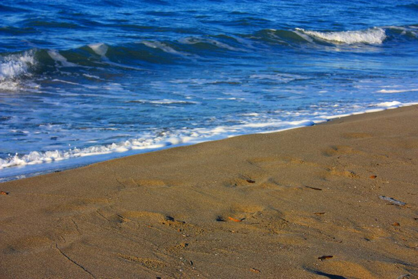 δίπλα στη θάλασσα στην αμμώδη παραλία ιταλικής παραλιακής εγκατάστασης στη Βερσιλιά της Τοσκάνης - Φωτογραφία, εικόνα