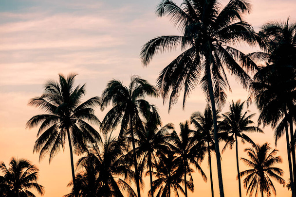 Silhouette de cocotiers à Lemery Batangas, au coucher du soleil. Teintes bleu et orange. - Photo, image