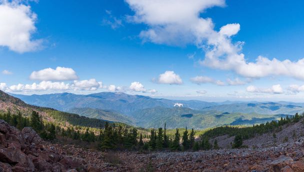 Гора, літній пейзаж. Сибірська природа. Панорама - Фото, зображення
